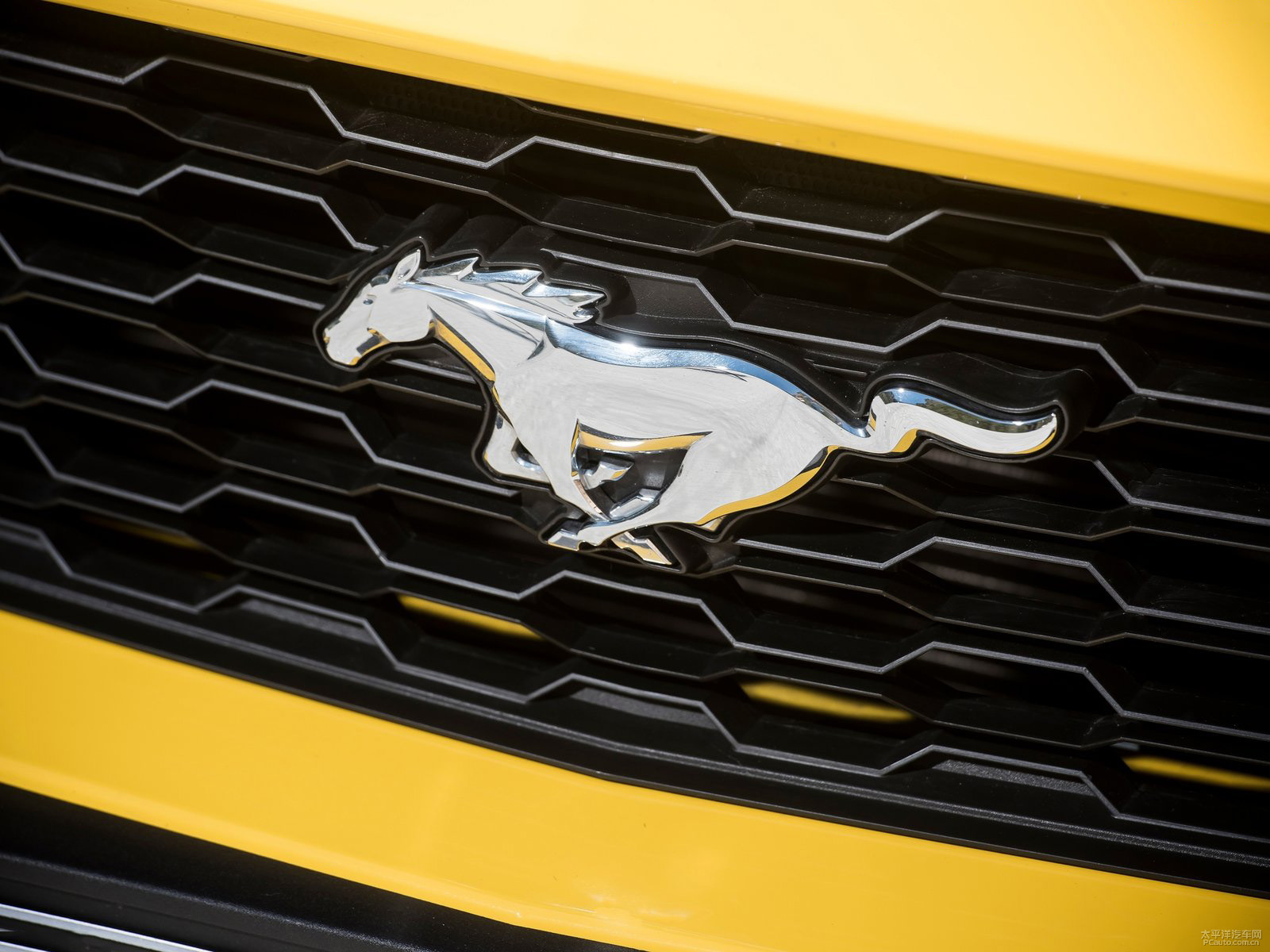 福特Mustang外觀高清大圖