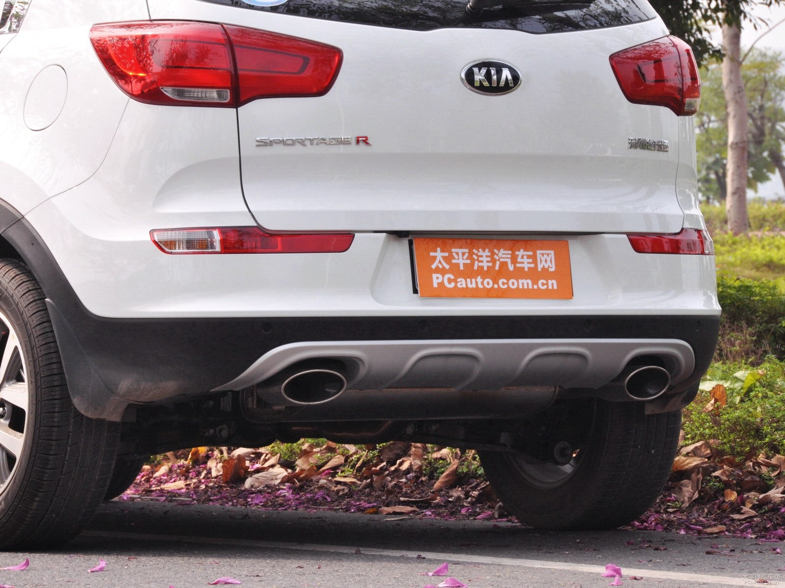 智跑外觀高清大圖