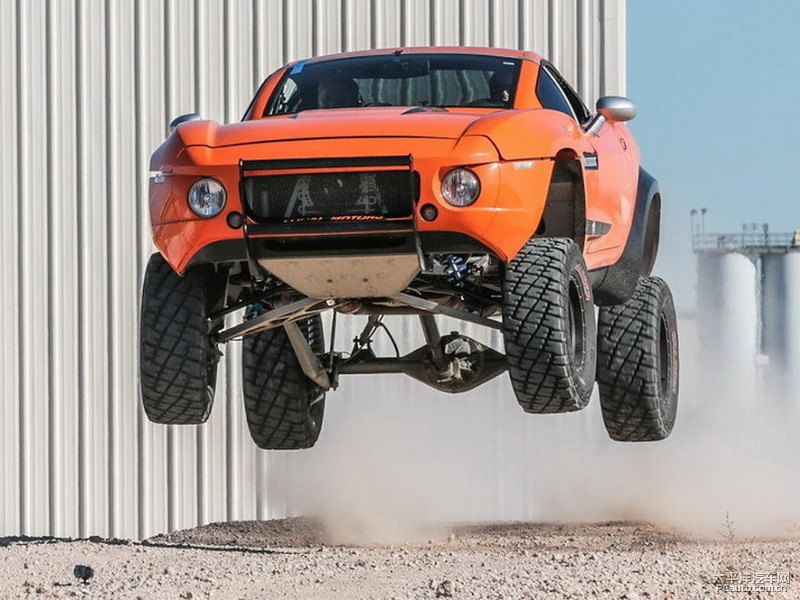 RALLY FIGHTER܇^^DƬ