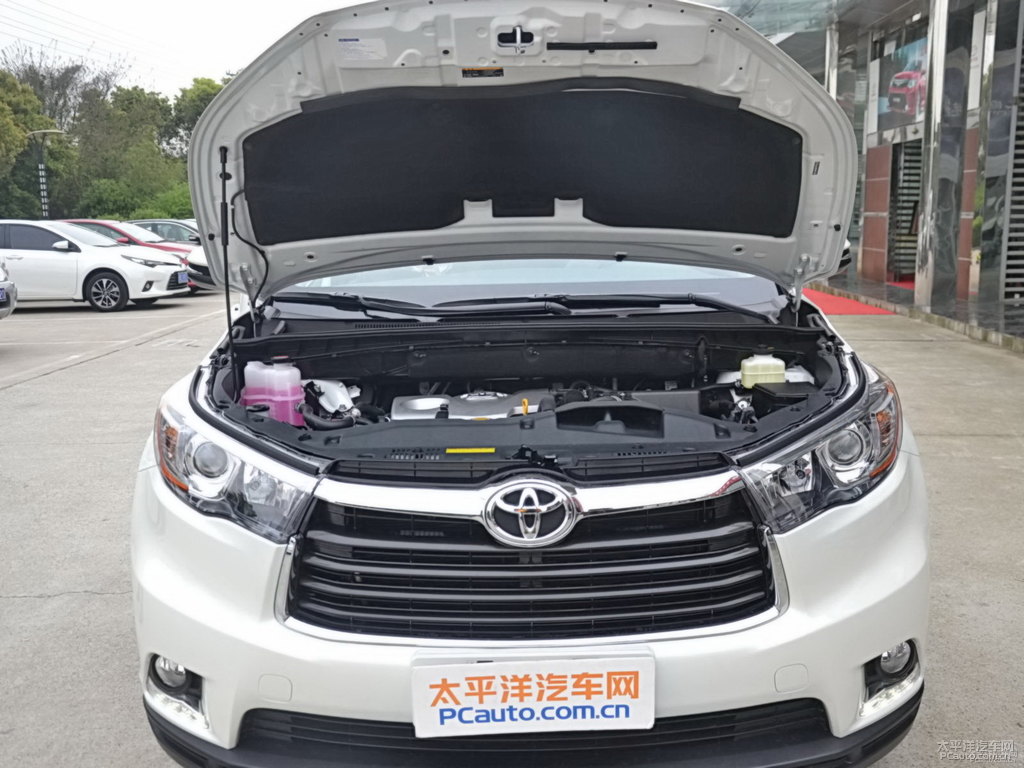珍珠白漢蘭達(dá)發(fā)動(dòng)機(jī)其它細(xì)節(jié)圖片