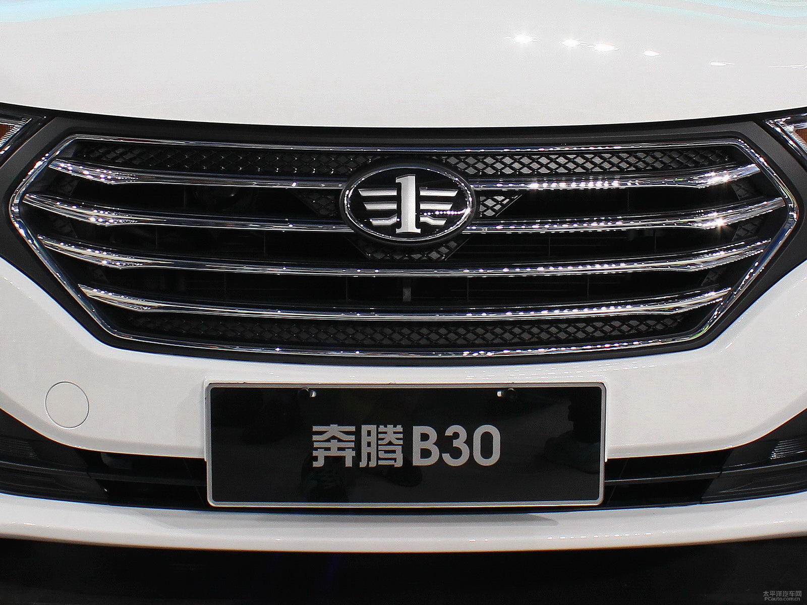 奔騰B30外觀高清大圖