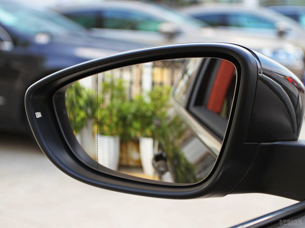 橡木棕邁騰車身外觀圖片