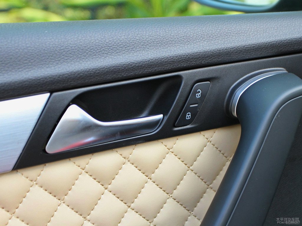 橡木棕邁騰車廂內(nèi)飾圖片