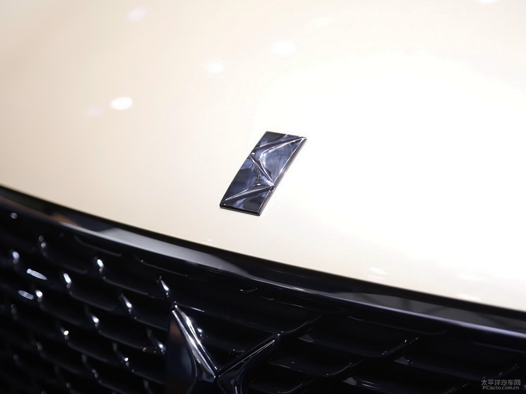 DS 5LS外觀高清大圖