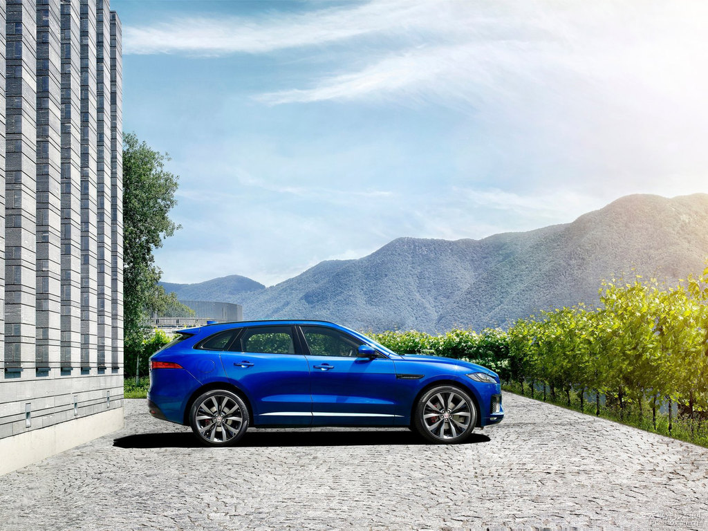 ʯ{(ln)ݱF-PACE܇^^DƬ