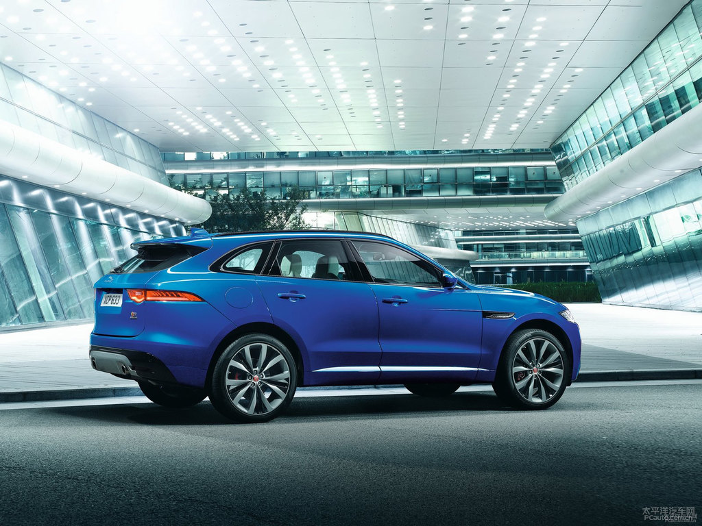ʯ{(ln)ݱF-PACE܇^^DƬ