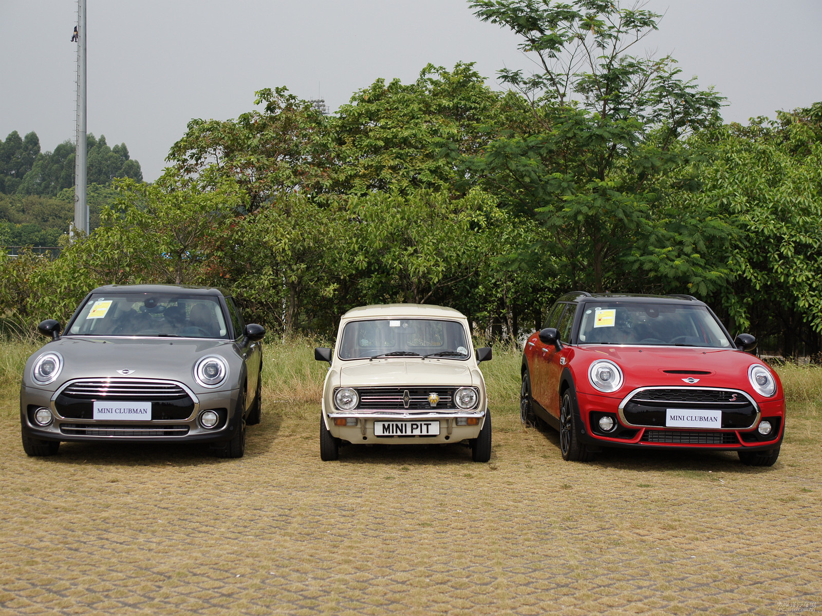 tMINI CLUBMAN܇^^DƬ