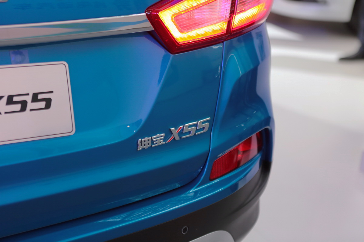 X55DƬ