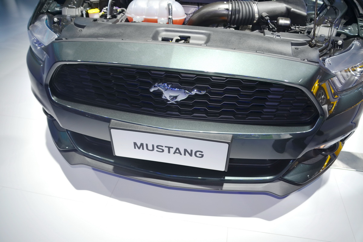 MustangDƬ