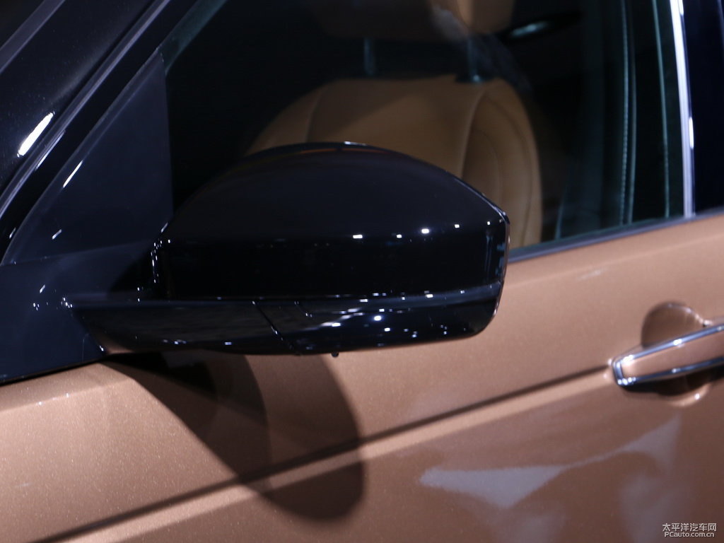 桑給巴爾棕金發(fā)現(xiàn)神行車(chē)身外觀圖片