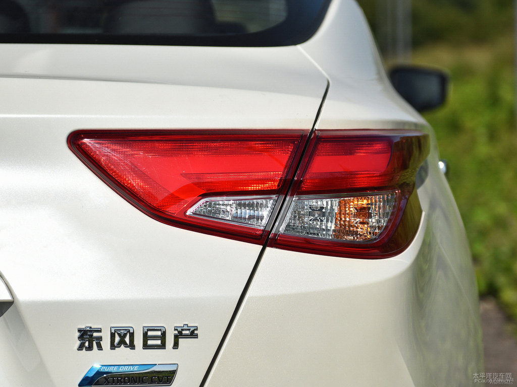 珠光白藍(lán)鳥車尾外觀圖片