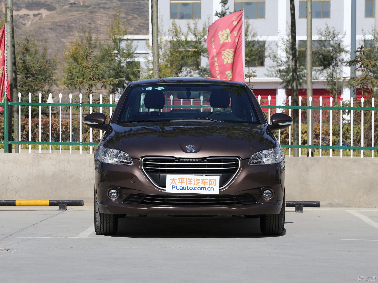 琥珀棕標(biāo)致301整車外觀外觀圖片