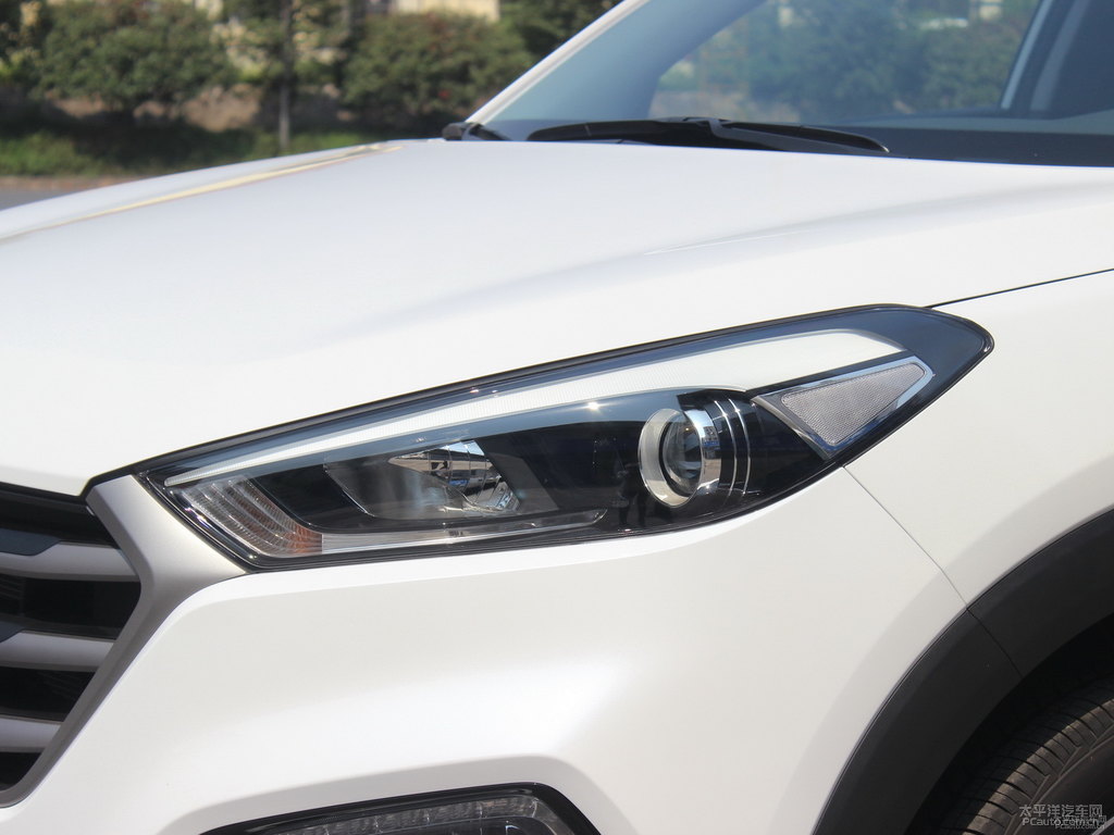 珍珠白途勝L車(chē)頭外觀圖片