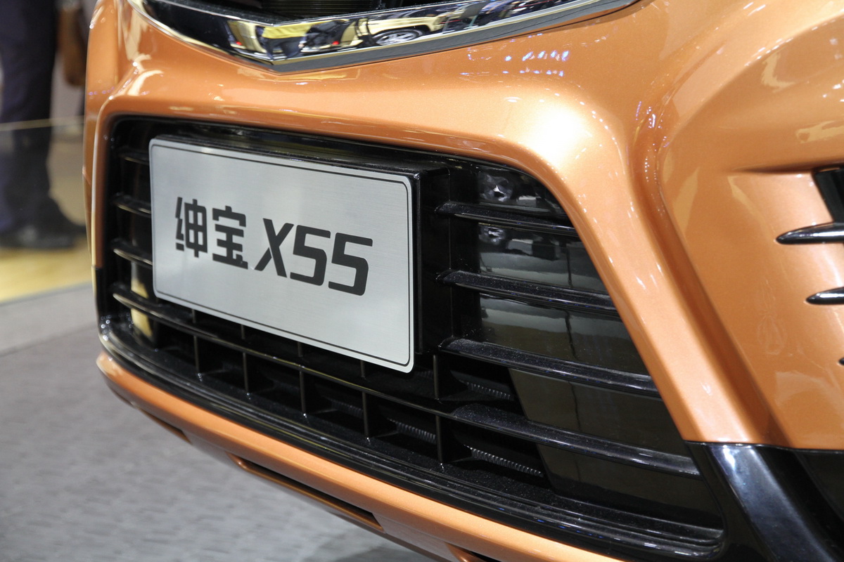 X55DƬ