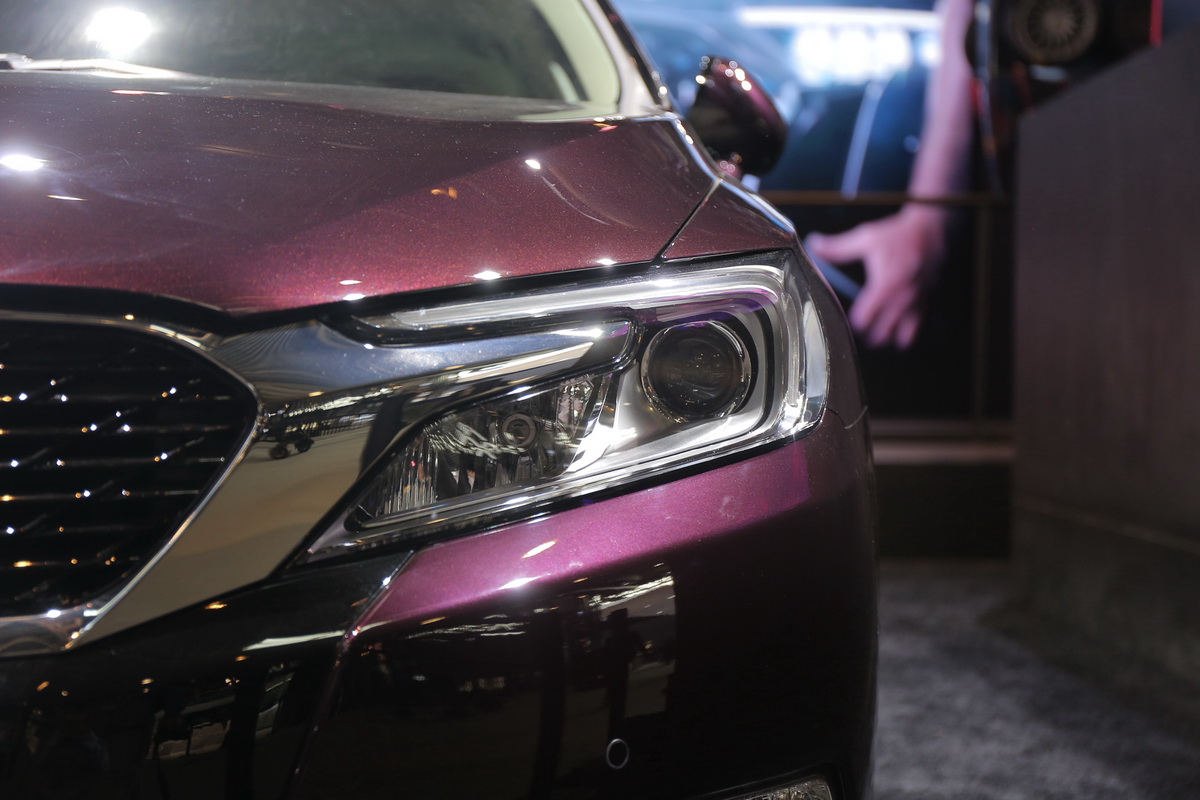 DS 5LS車展高清大圖