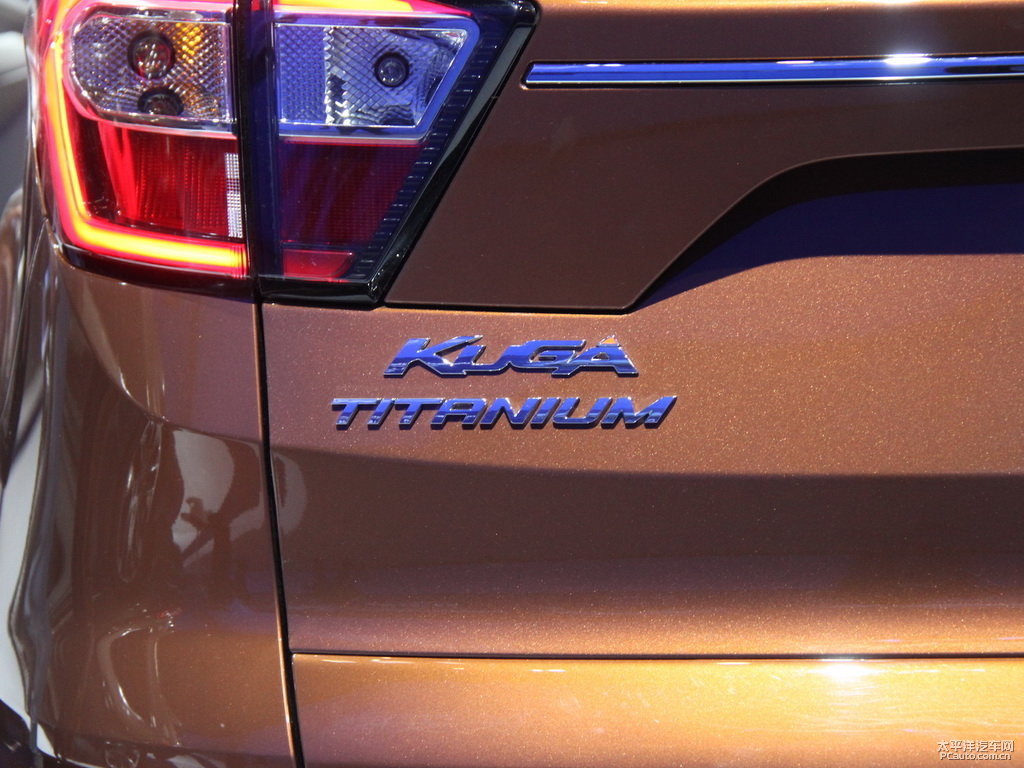 峽谷棕翼虎車尾外觀圖片