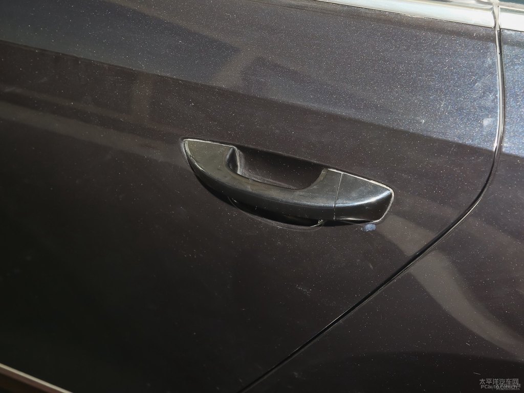 金黑帕薩特車身外觀圖片