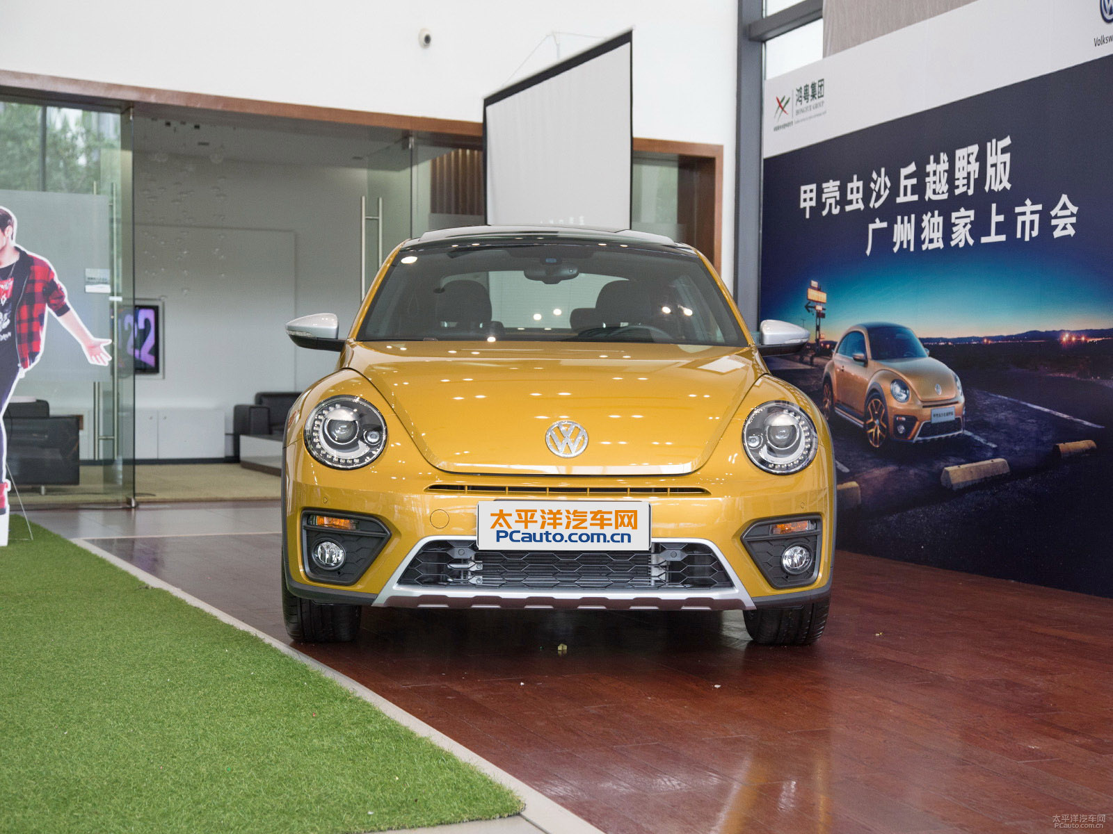 甲殼蟲(chóng)外觀高清大圖
