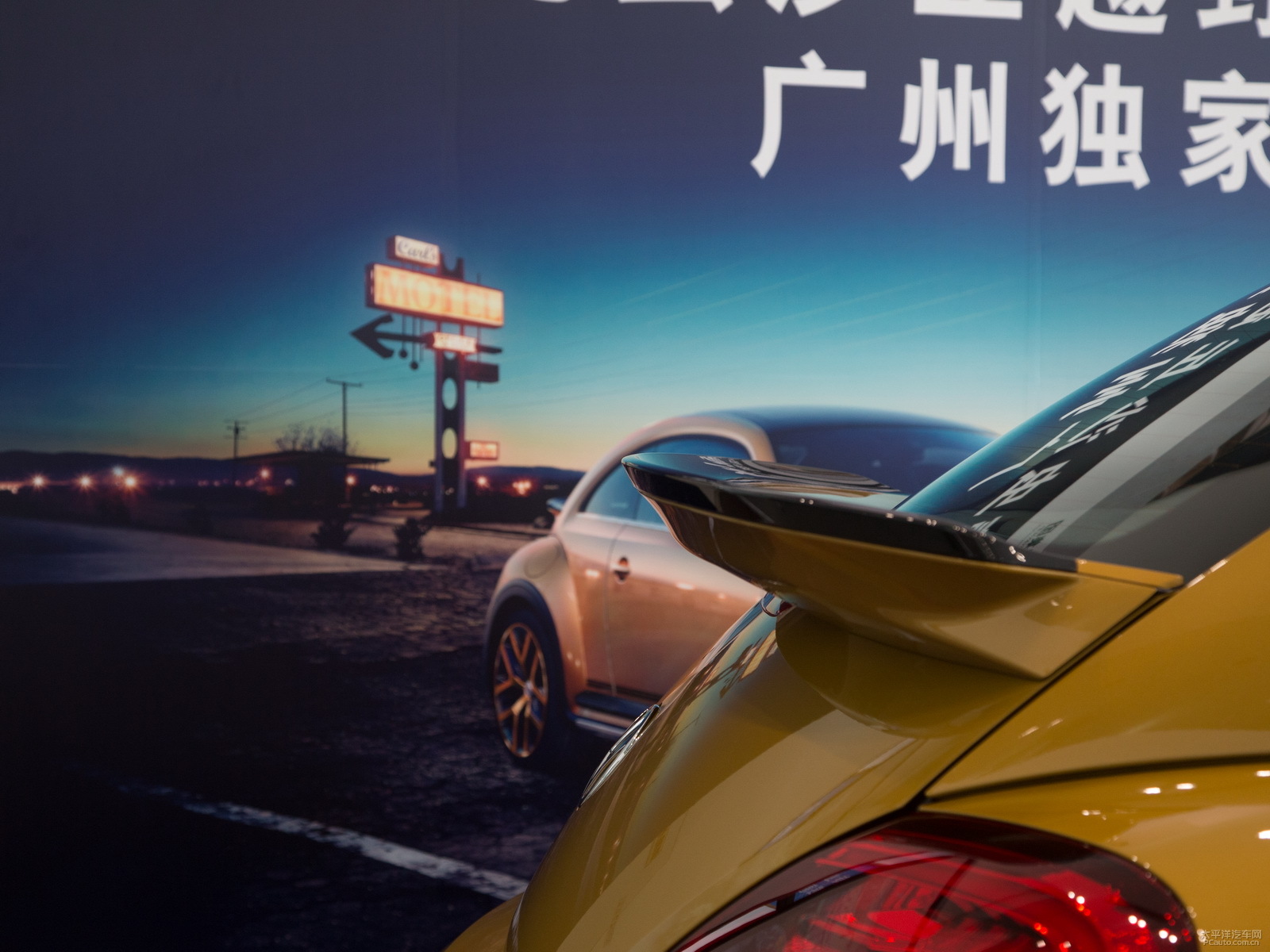 甲殼蟲外觀高清大圖