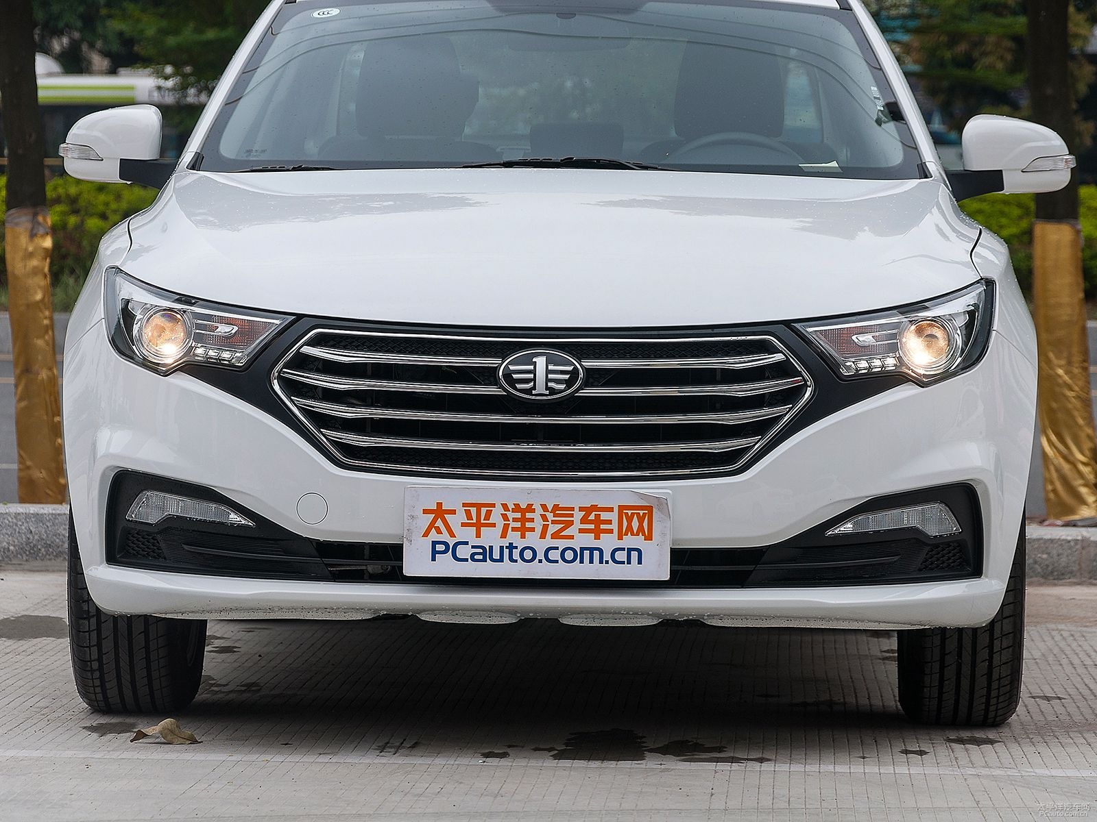 奔騰B30外觀高清大圖