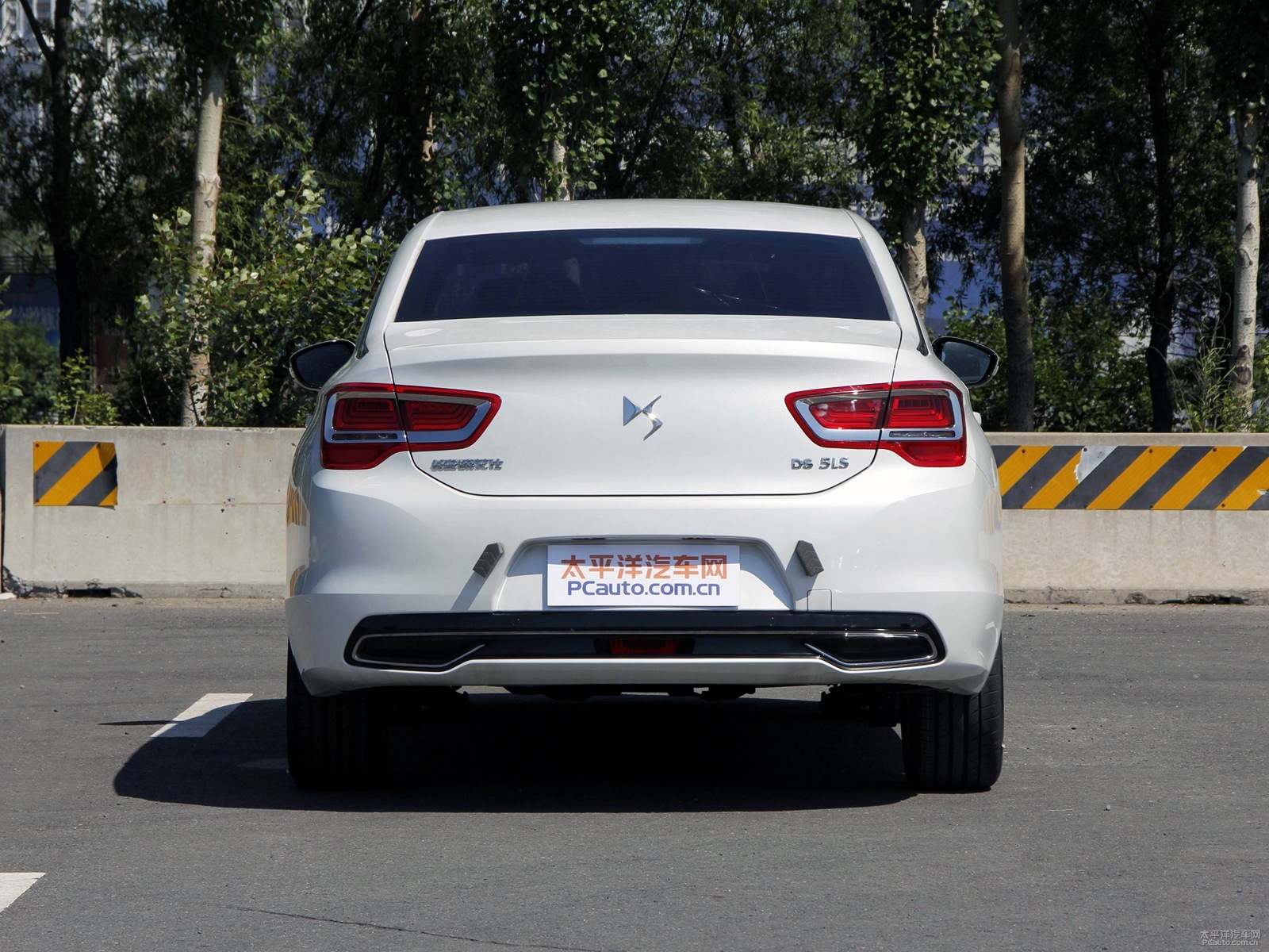 DS 5LS外觀高清大圖