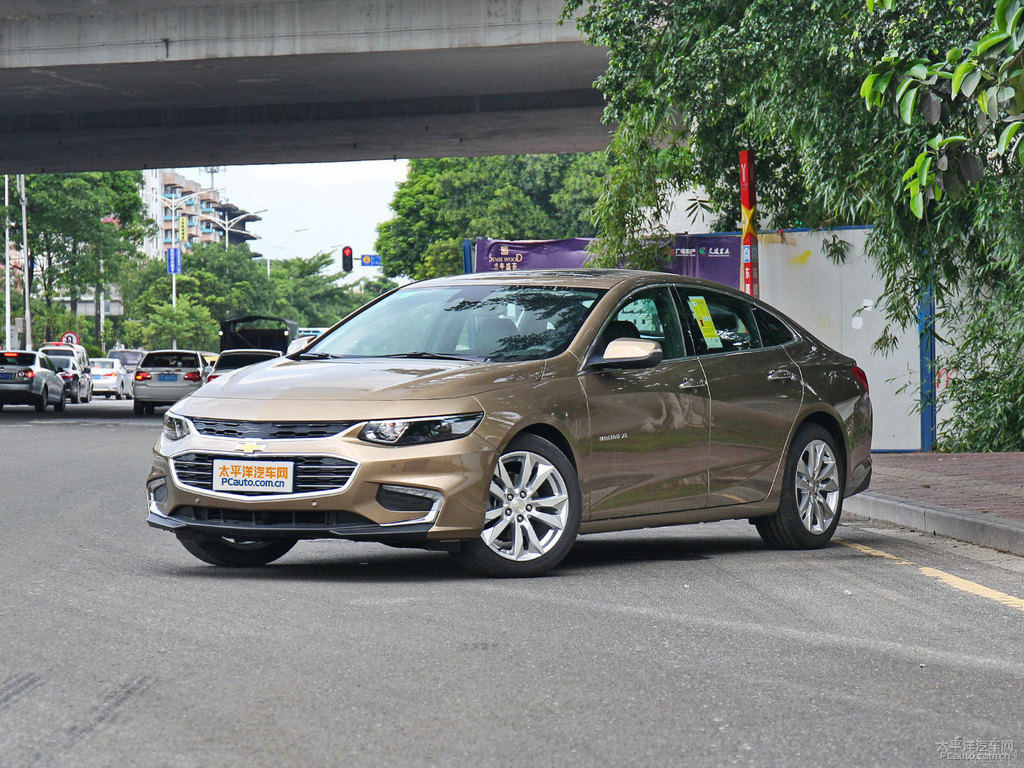 黃石棕邁銳寶XL整車外觀外觀圖片