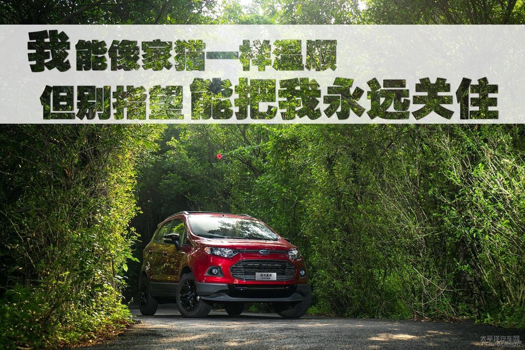 翼搏圖片