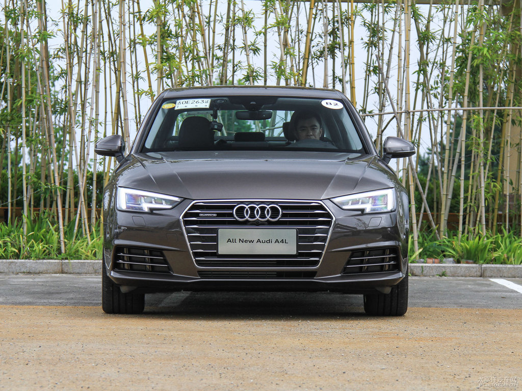 阿格斯棕奧迪A4L整車外觀外觀圖片