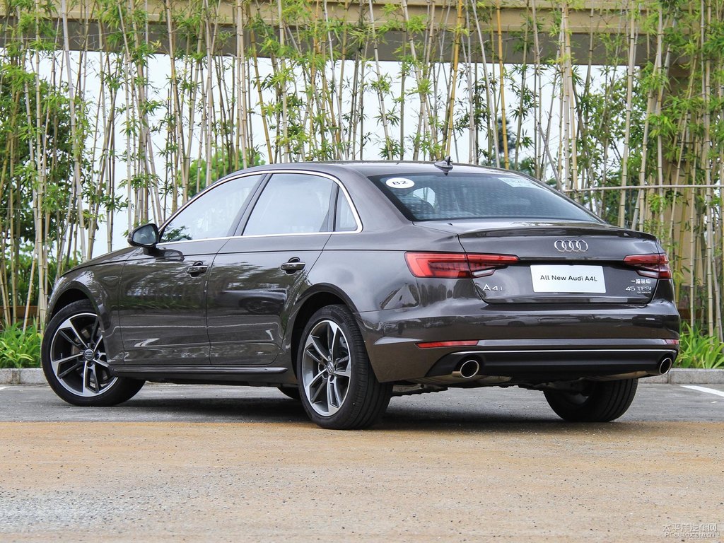 阿格斯棕奧迪A4L整車外觀外觀圖片