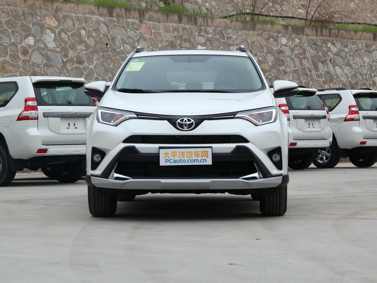 RAV4榮放外觀高清大圖