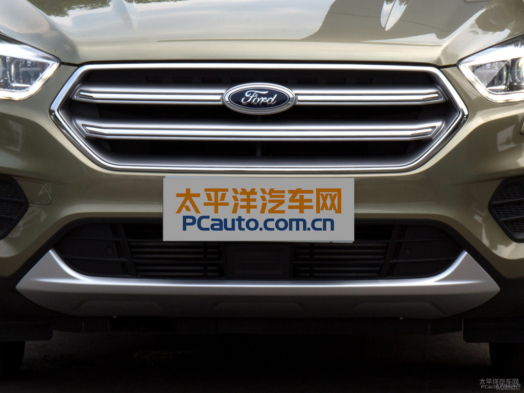 沙漠金翼虎車頭外觀圖片
