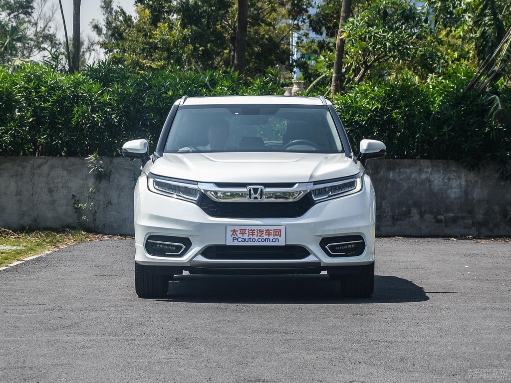 珍珠白冠道整車外觀外觀圖片