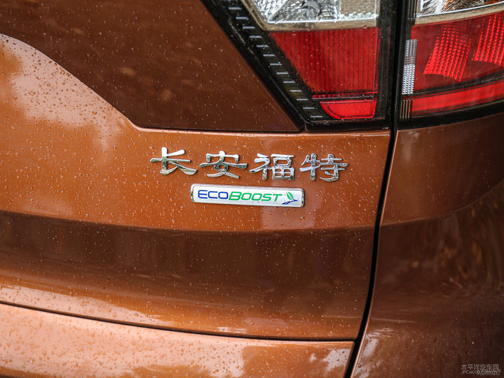 峽谷棕翼虎車尾外觀圖片