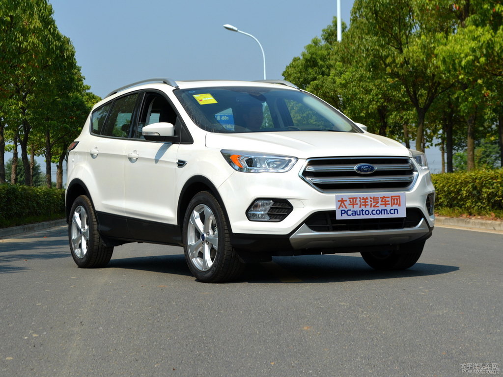 鹽湖白翼虎整車外觀外觀圖片