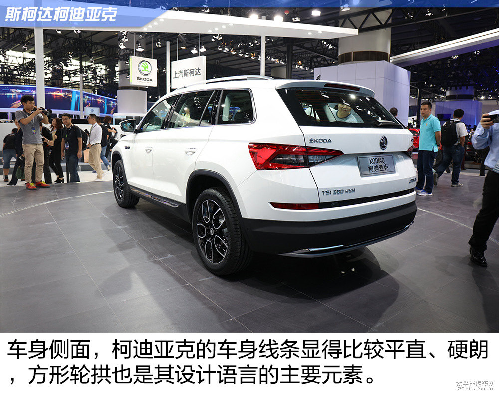 柯迪亞克圖片