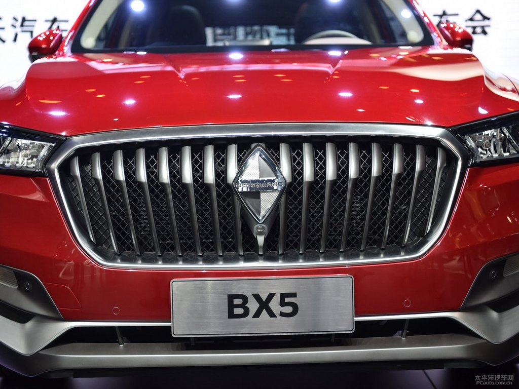 BX5DƬ