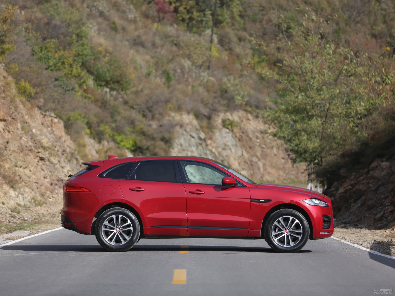 tݱF-PACE܇^^DƬ