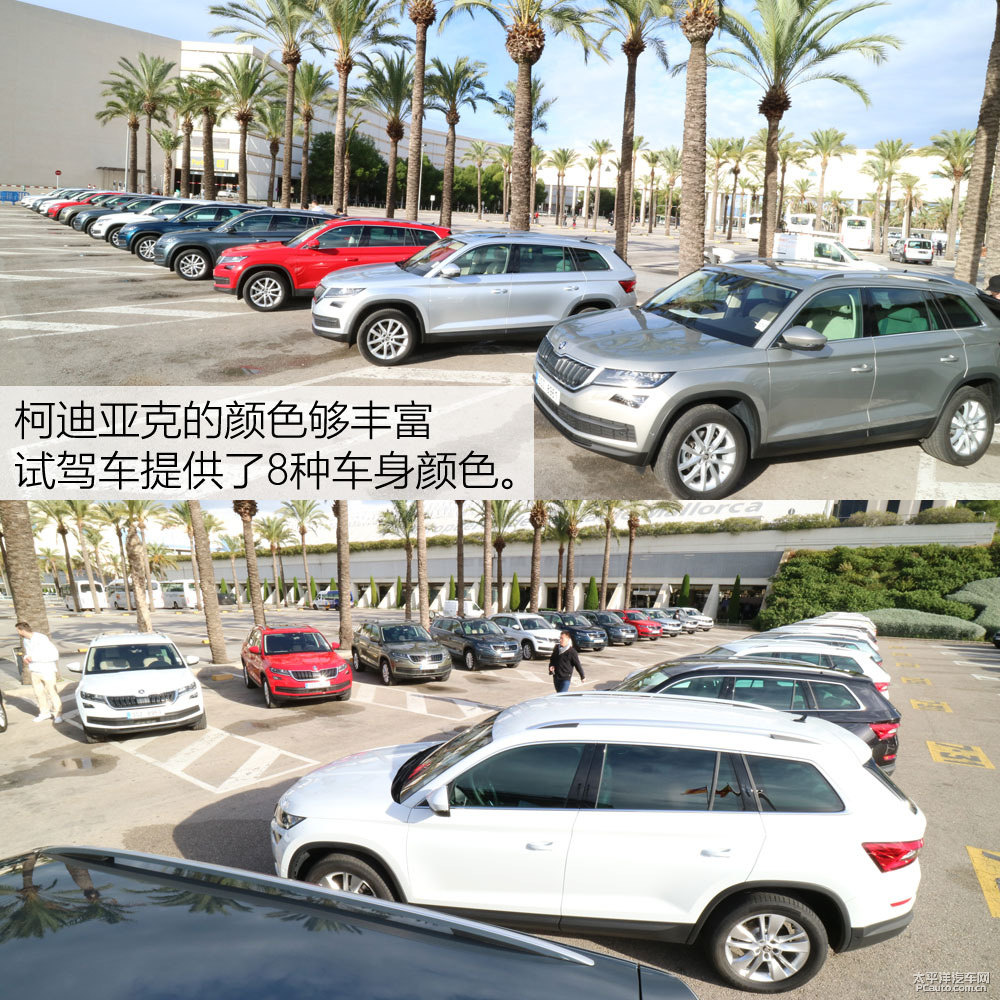 柯迪亞克圖片