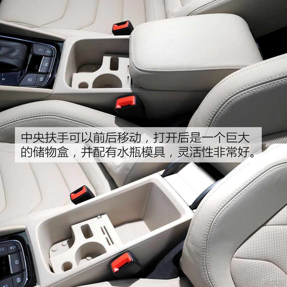 柯迪亞克圖片