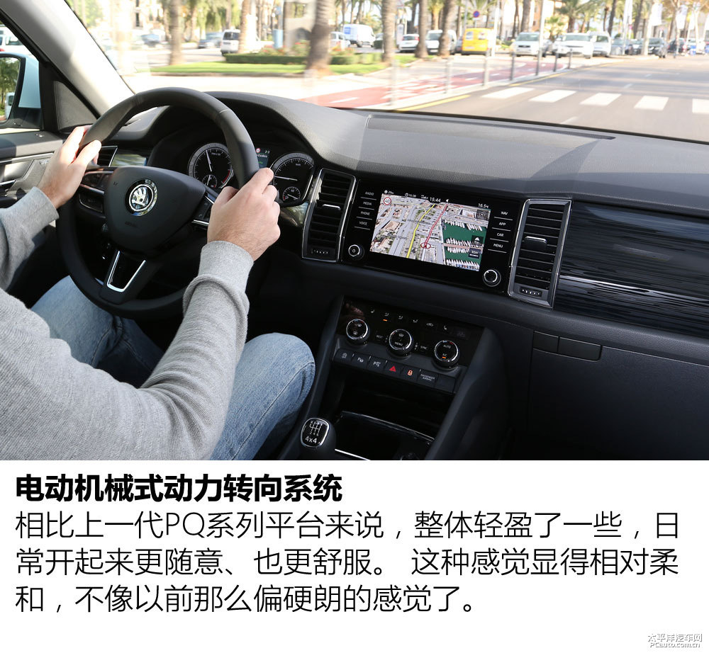 柯迪亞克圖片