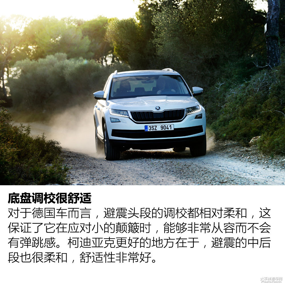 柯迪亞克圖片