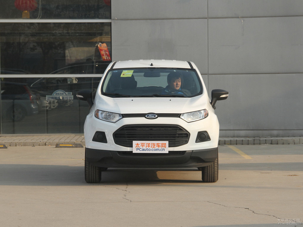典雅白翼搏整車外觀外觀圖片