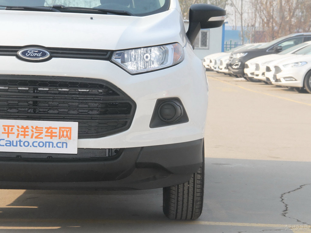 典雅白翼搏車頭外觀圖片