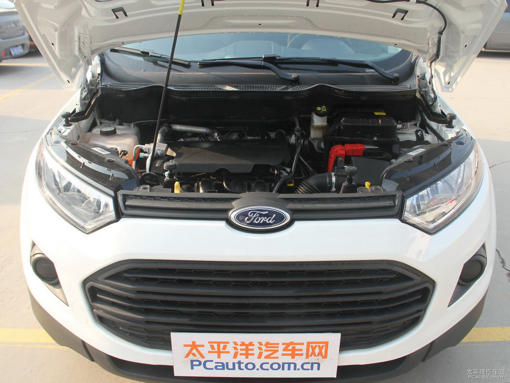 典雅白翼搏發(fā)動(dòng)機(jī)其它細(xì)節(jié)圖片