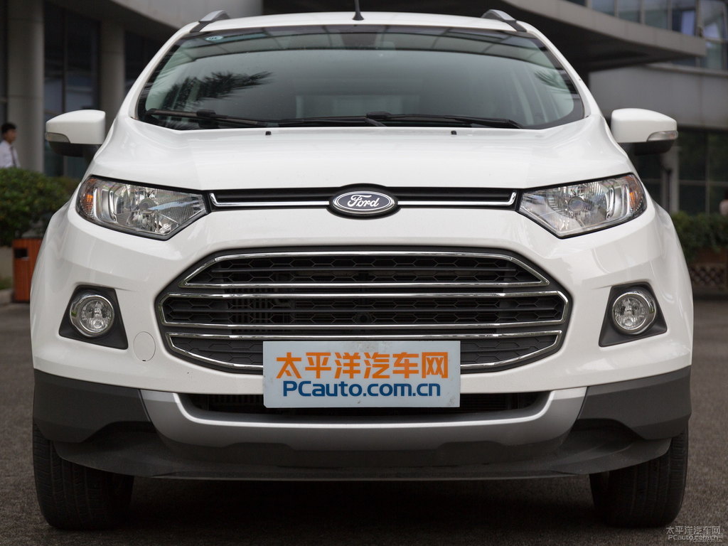 典雅白翼搏車頭外觀圖片