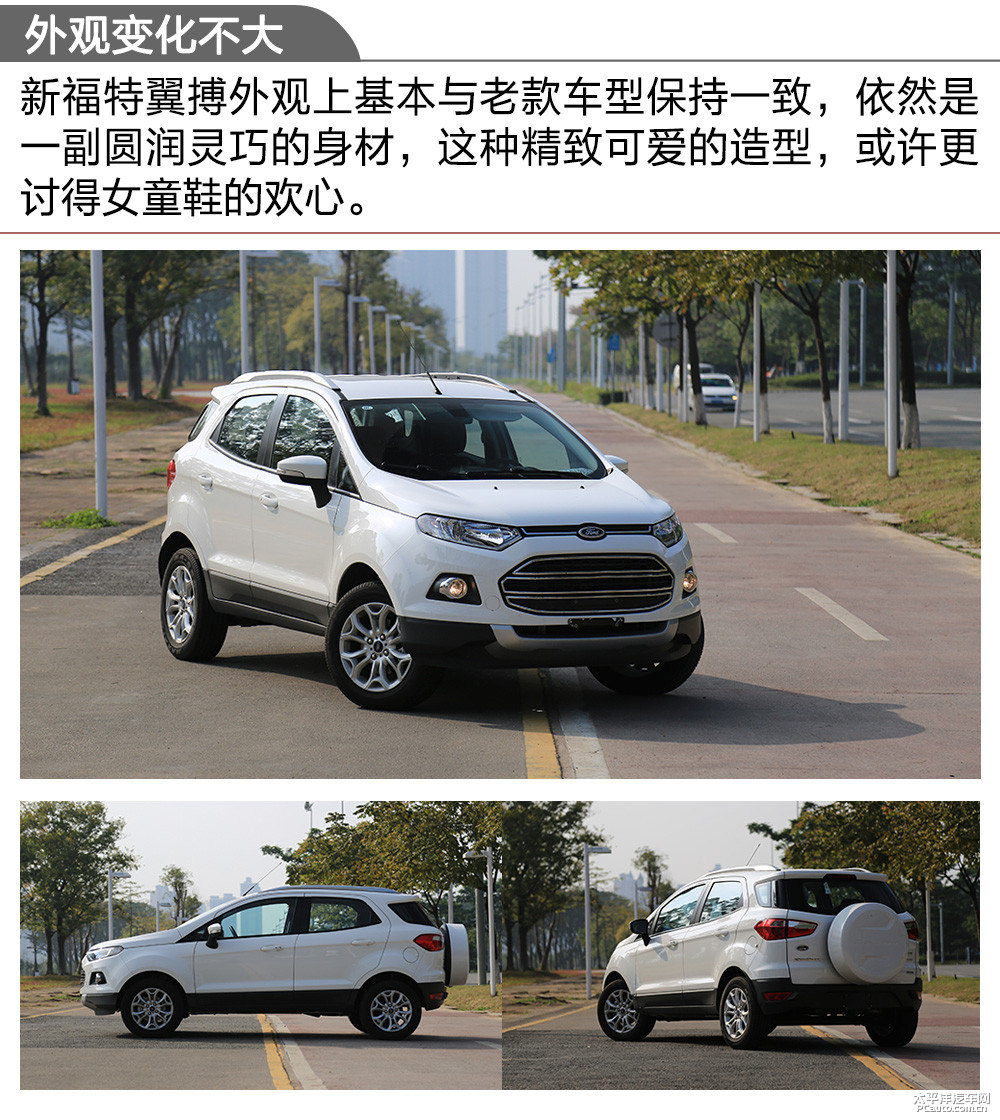 翼搏圖片