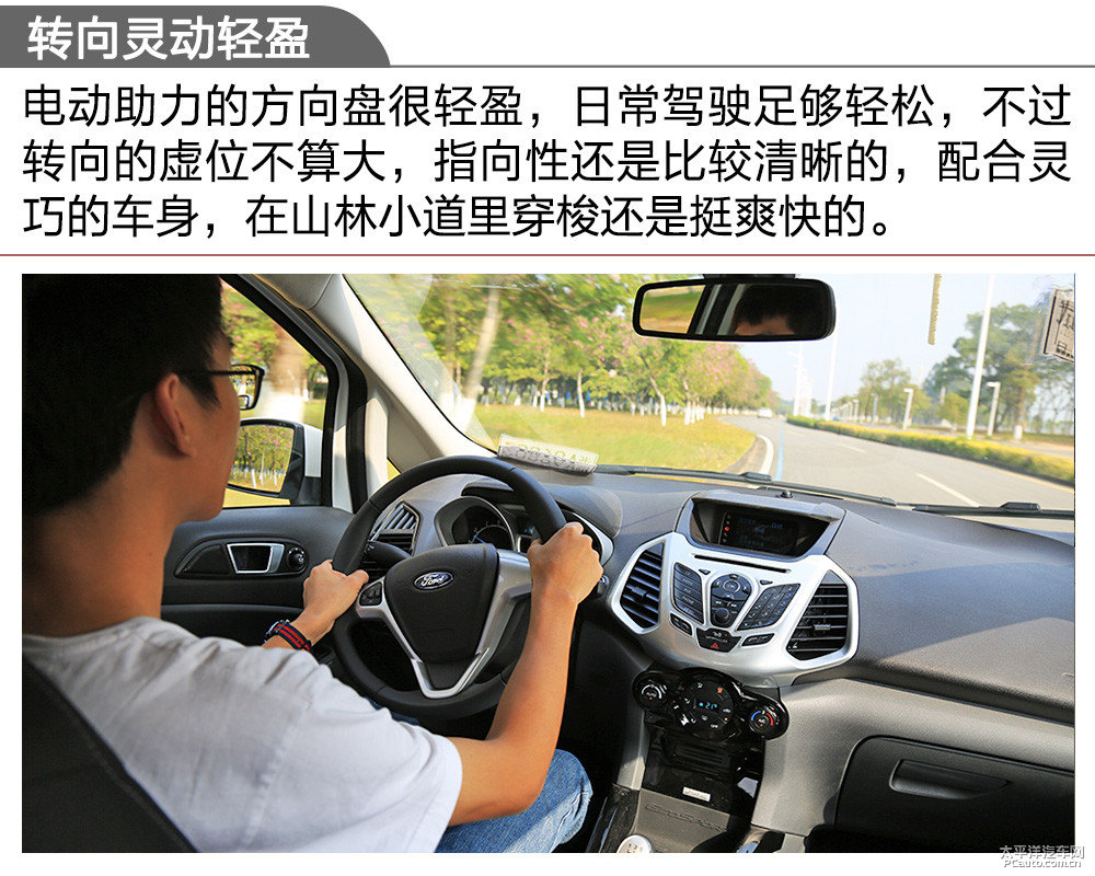 翼搏圖片