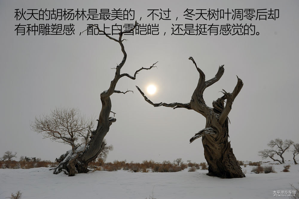 馬自達CX-5圖片