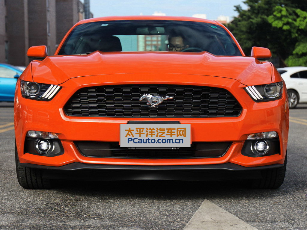 SӳȸMustang܇^^DƬ