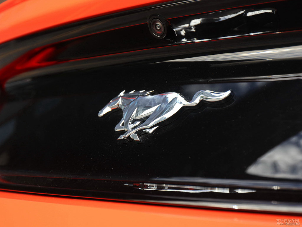 S(dng)ȸMustang܇β^DƬ